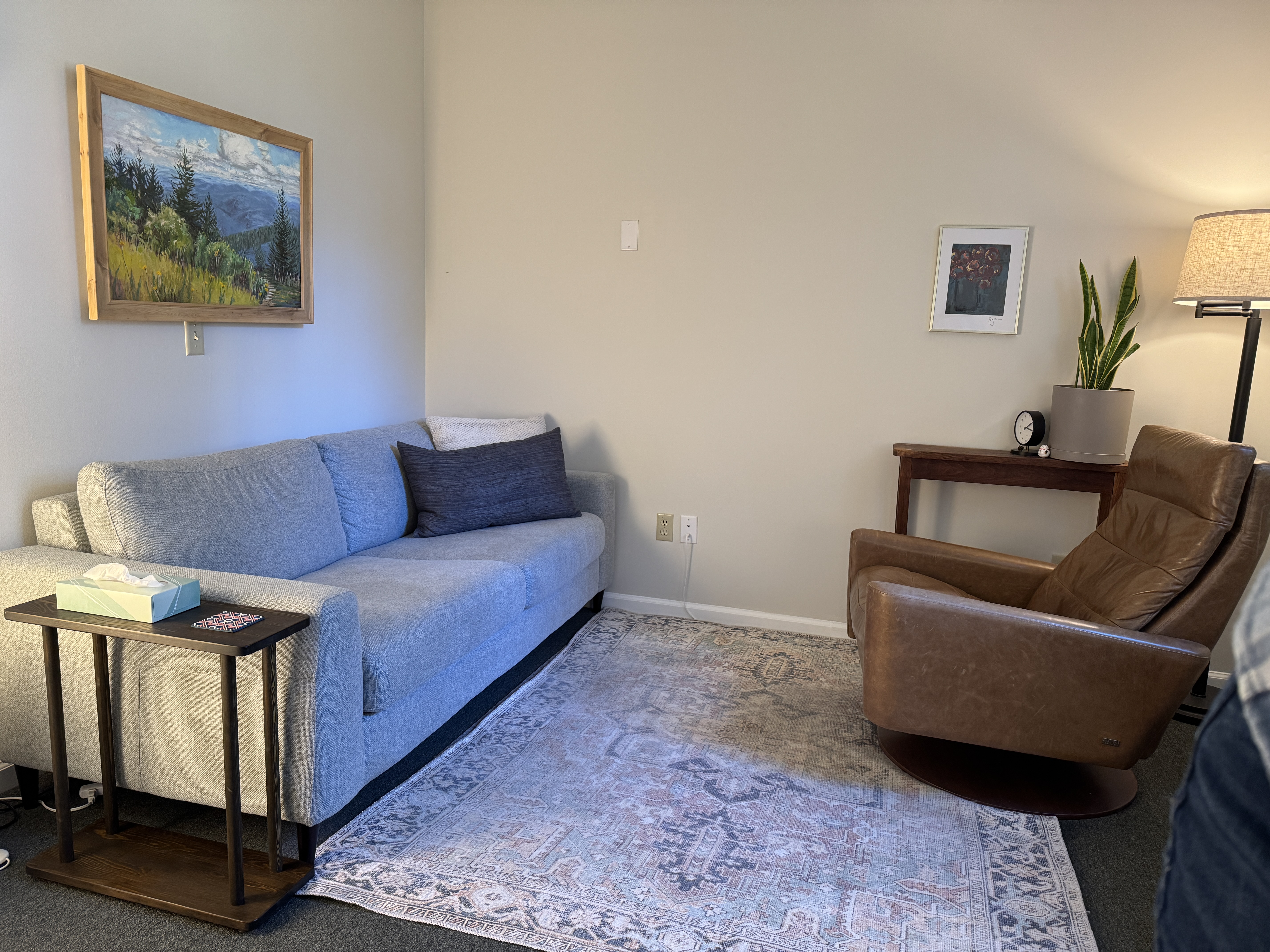 Kate Modica's therapy office in Charlottesville, VA